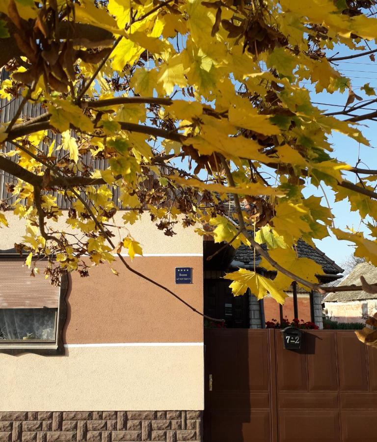 Apartman Sokica Bizovac Εξωτερικό φωτογραφία
